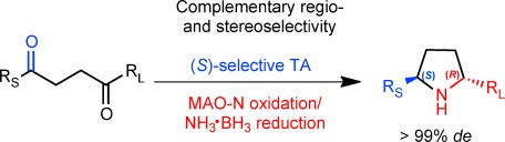 A regio- and stereoselective ω-transaminase/monoamine oxidase cascade for the synthesis of chiral 2,5-disubstituted pyrrolidines