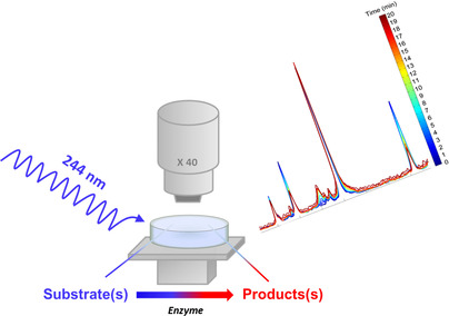 Real-Time Monitoring of Enzyme-Catalysed Reactions using Deep UV Resonance Raman Spectroscopy