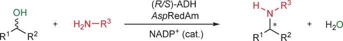 Direct Alkylation of Amines with Primary and Secondary Alcohols through Biocatalytic Hydrogen Borrowing