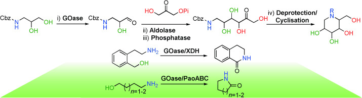 Galactose Oxidase Variants for the Oxidation of Amino Alcohols in Enzyme Cascade Synthesis