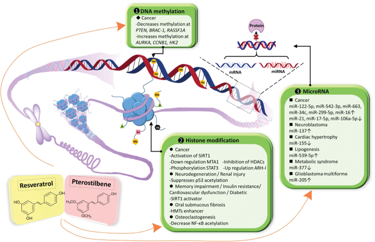 BioFactors - Wiley Online Library